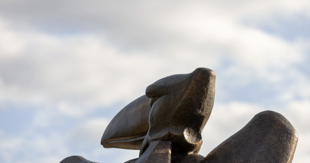 Las universidades no firmarán el acuerdo de educación superior del presidente Trump | Noticias