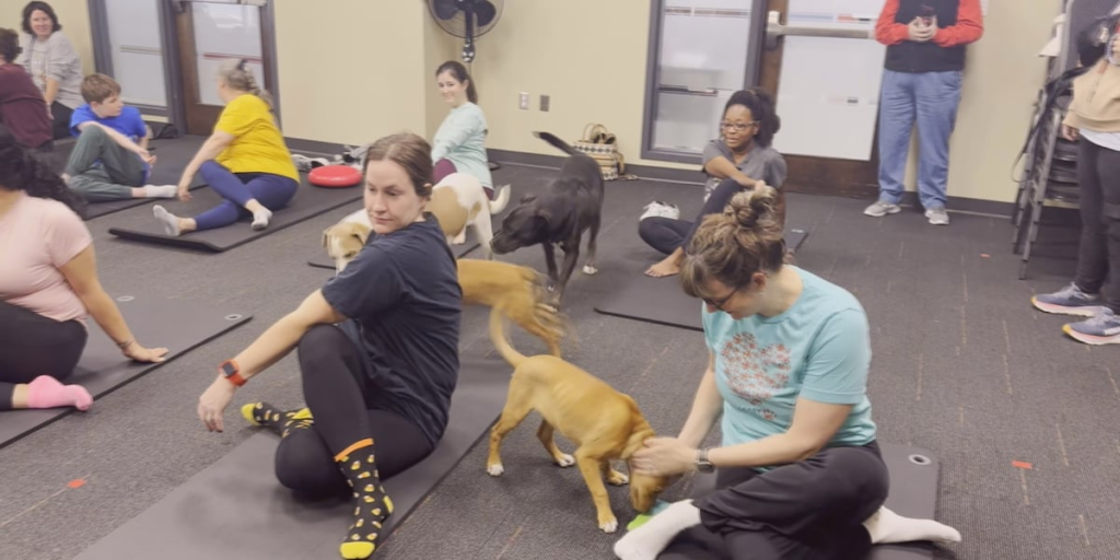 Paw and Poses combina fitness y conciencia sobre perros adoptables