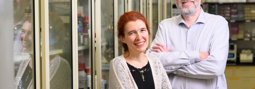 ¿El secreto de la longevidad? En las ballenas de Groenlandia, las proteínas reparan el ADN dañado