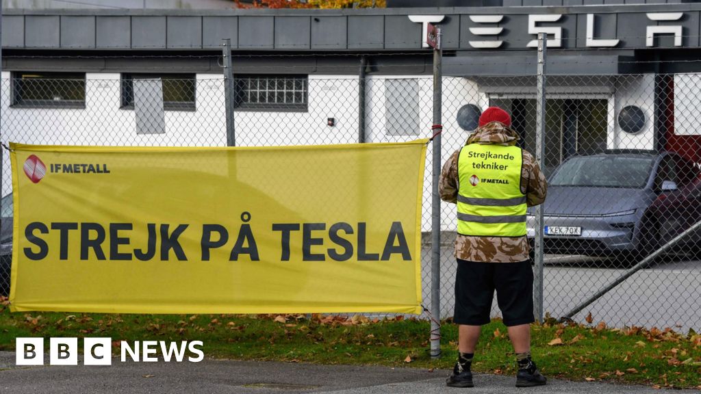Los trabajadores suecos van a la huelga contra el fabricante de automóviles Tesla