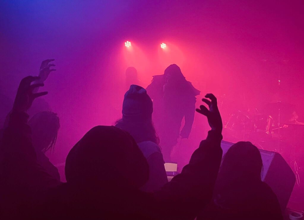 Observatorio de estilo de vida: Noche de reyes, bazar navideño, festival nórdico, música en vivo