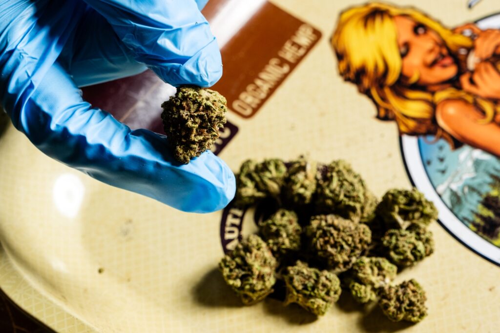 El acuerdo de cierre podría arruinar la industria del cáñamo de Carolina del Norte.