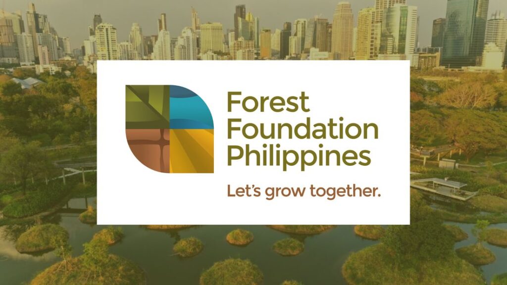 Forest Foundation recomienda soluciones ‘basadas en la naturaleza’ para abordar los problemas ecológicos y sociales